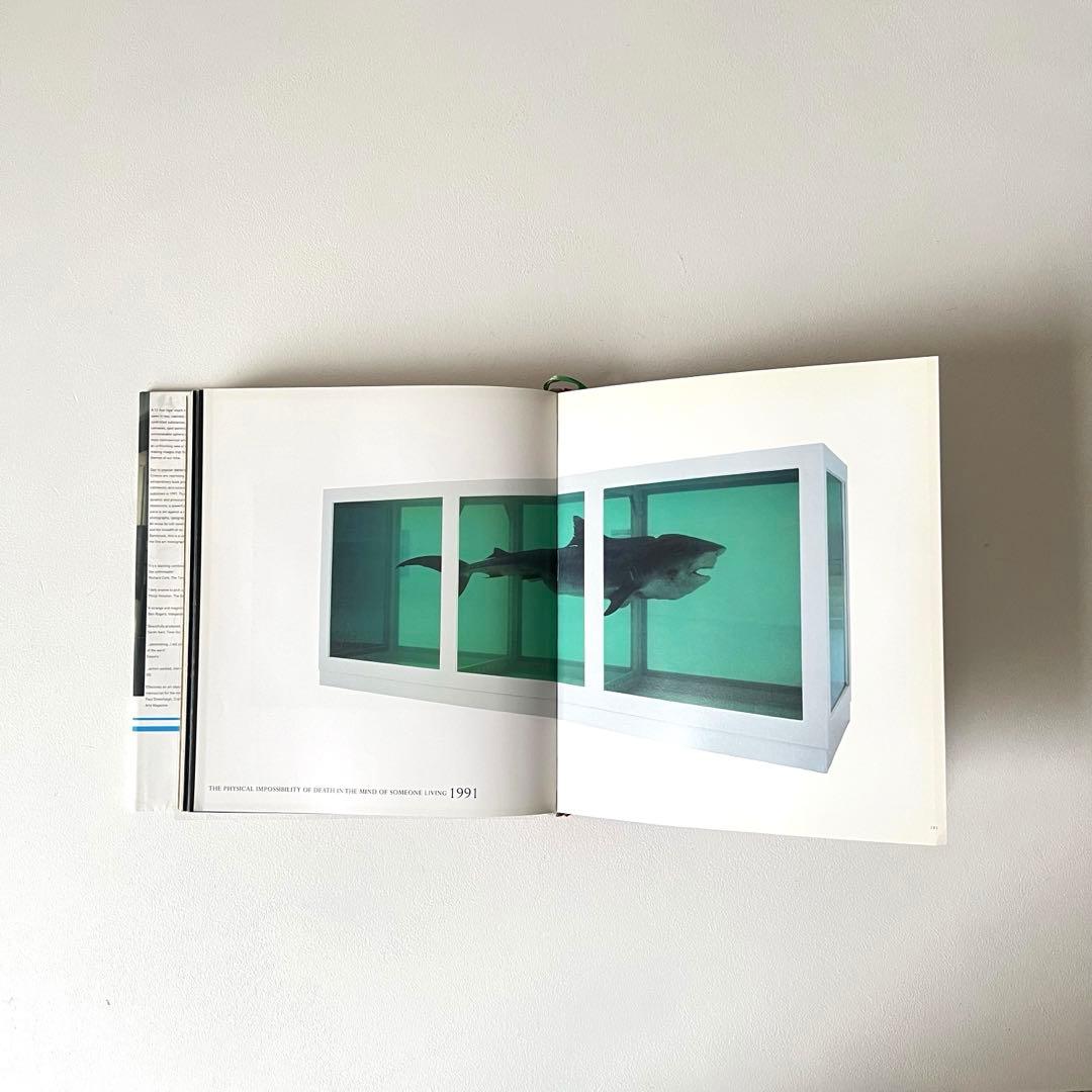 Damien Hirst 作品集2005 ダミアン・ハースト アートブック