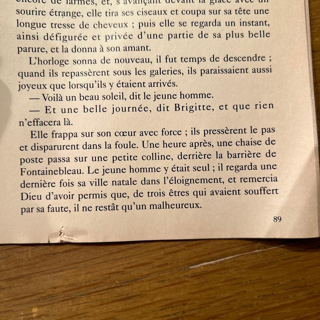 ポンヌフの恋人　フランス版　パンフレット　フランス映画