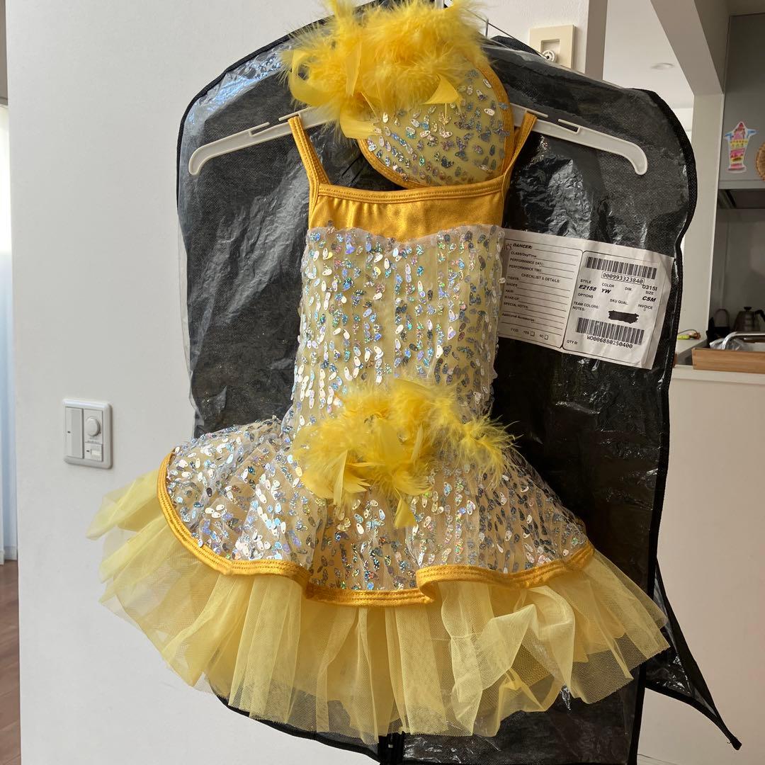 テーマパークダンス・バレエ　衣装　コスチューム　４着まとめ売り
