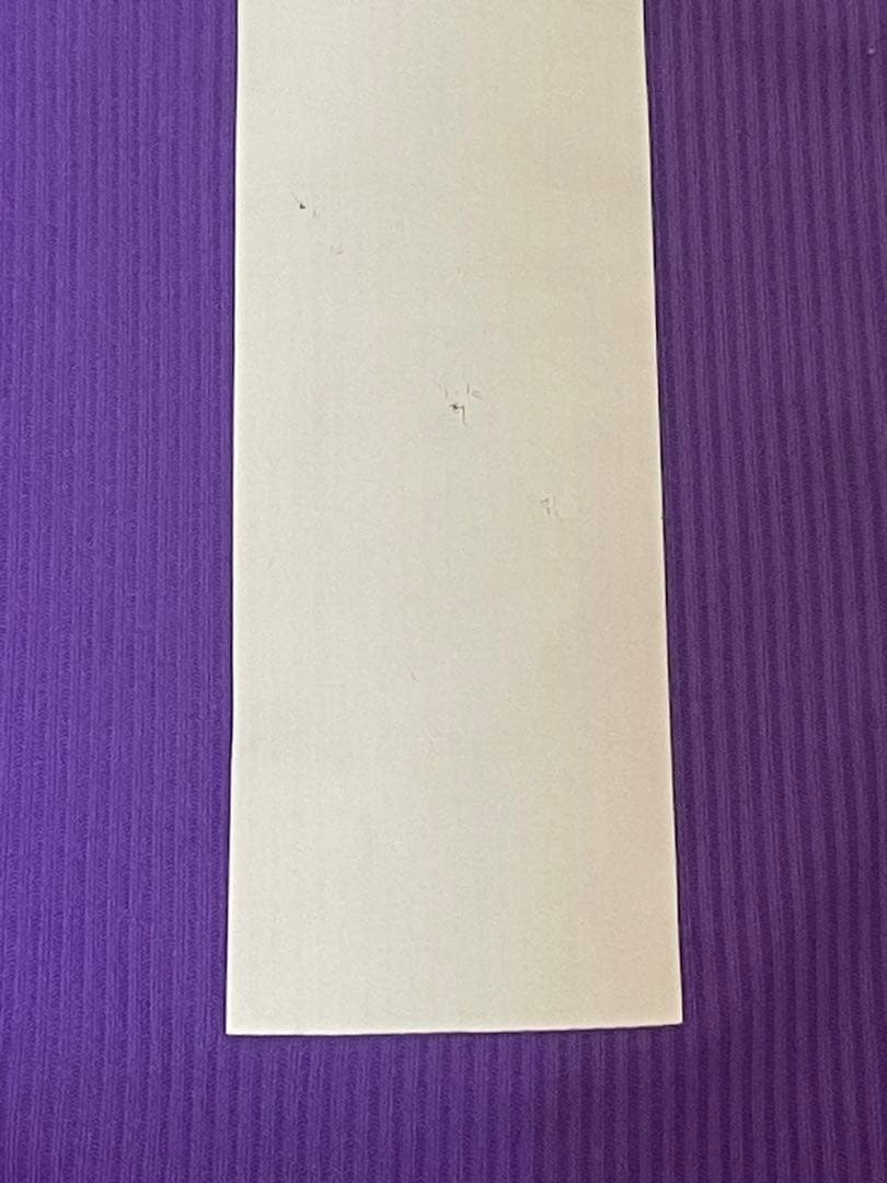 mizuno“サンフレッチェ広島15番髙萩洋次郎ACLユニフォーム“ミズノ