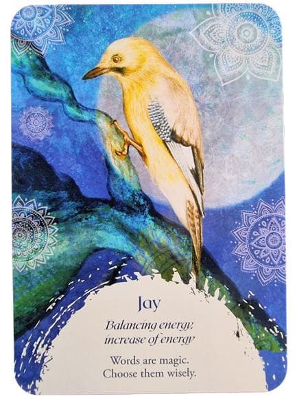 【正規品オラクルカード】希少入手困難品✨美しい鳥たちの予言のオラクル