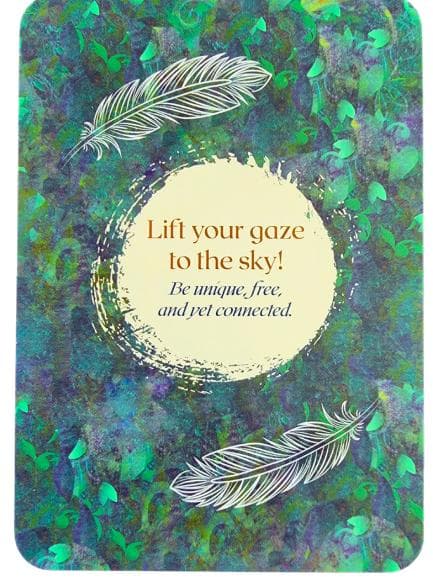 【正規品オラクルカード】希少入手困難品✨美しい鳥たちの予言のオラクル