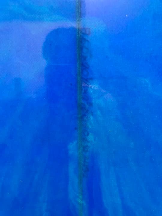 Super Fish Global Surf Industry製