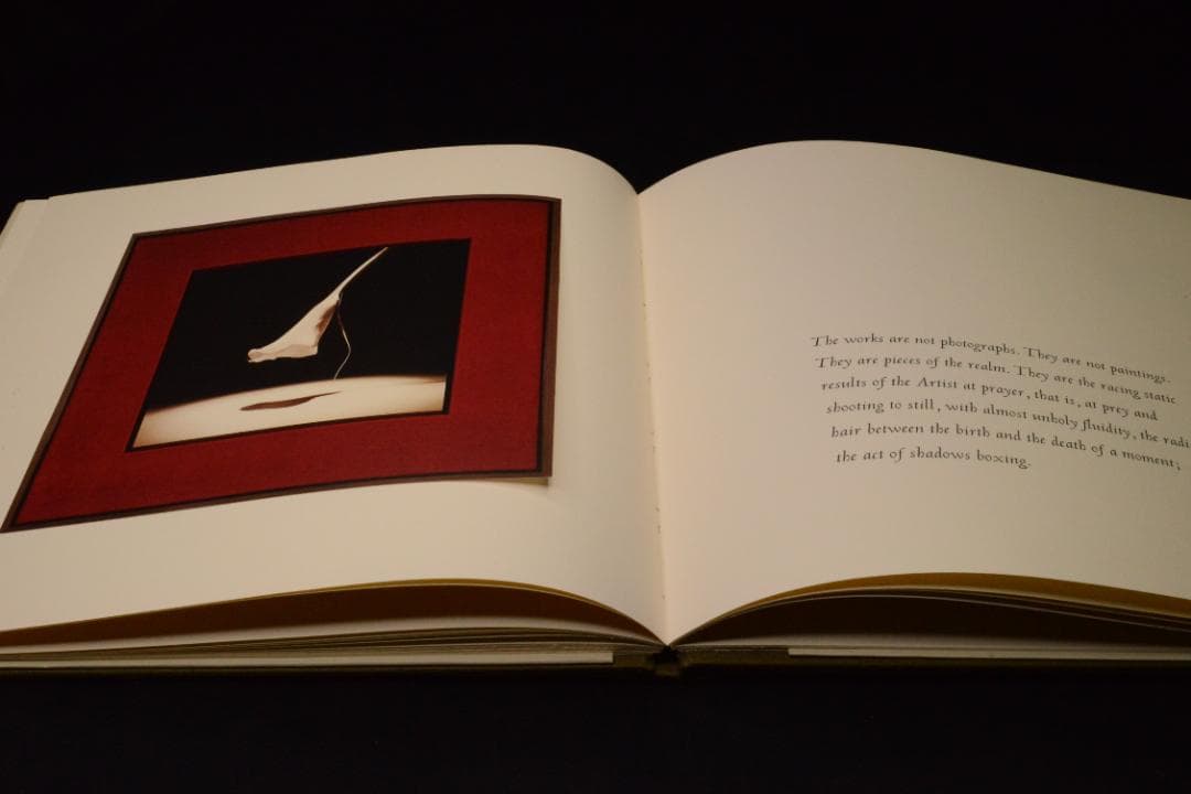 Robert Mapplethorpe: Patti Smith 値下げしました