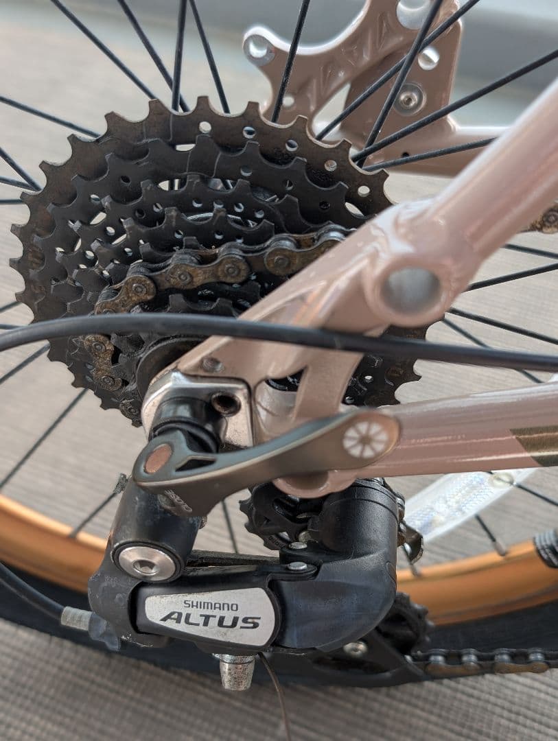 DAHON HORIZE ダホン ホライズ