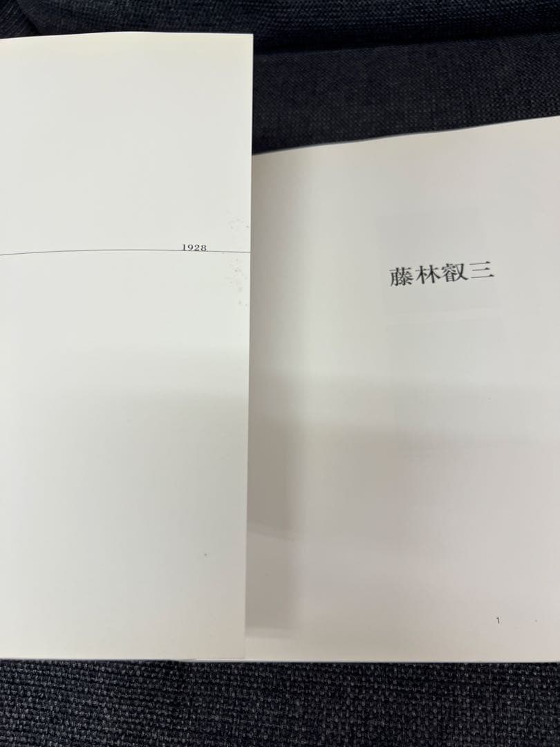 2002年　藤林叡三 画集 日本画・油彩作品集 武蔵野美術協力