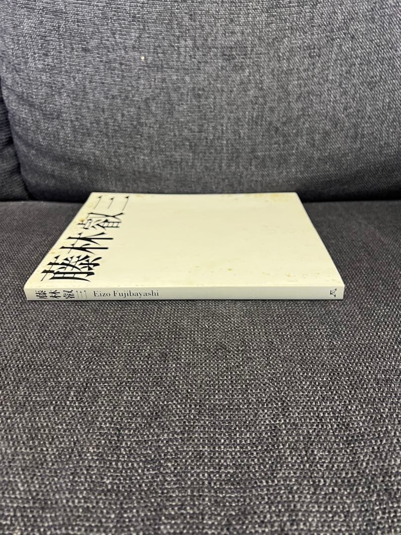 2002年　藤林叡三 画集 日本画・油彩作品集 武蔵野美術協力