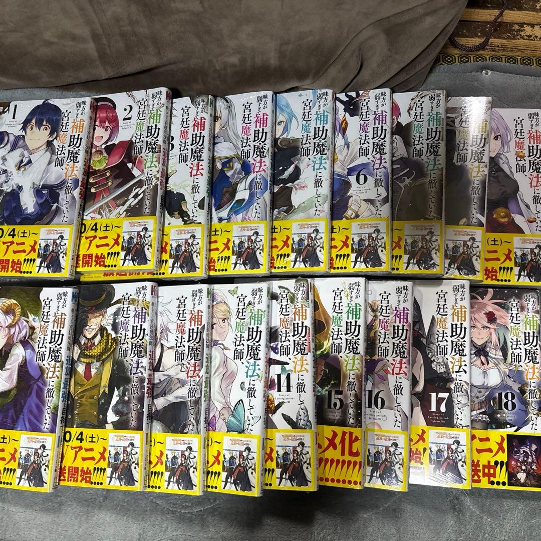 味方が弱すぎて、補助魔法に徹していた宮廷魔法師、追放されて最強を目指す 1〜18