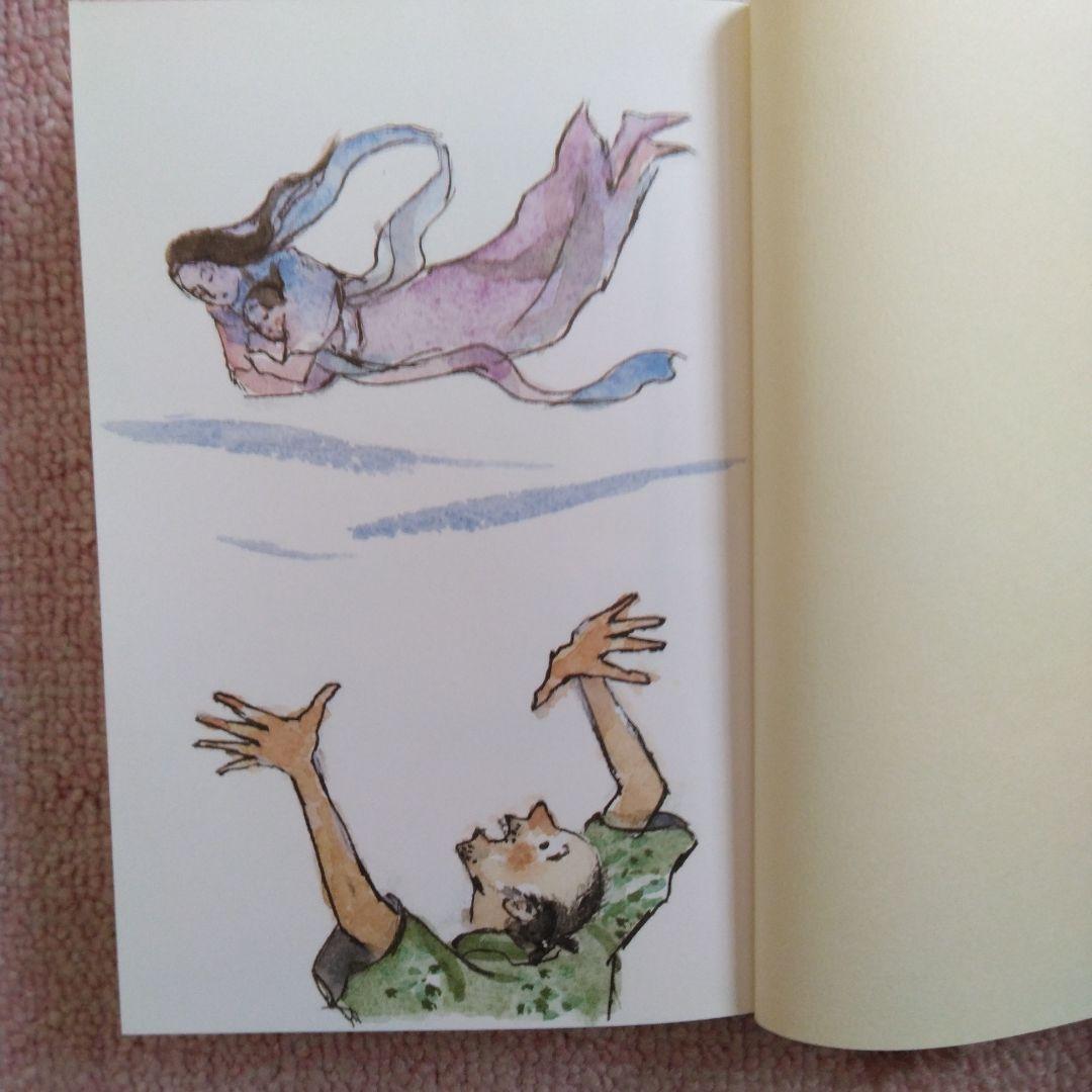 岩波少年文庫 特装版 30冊セット