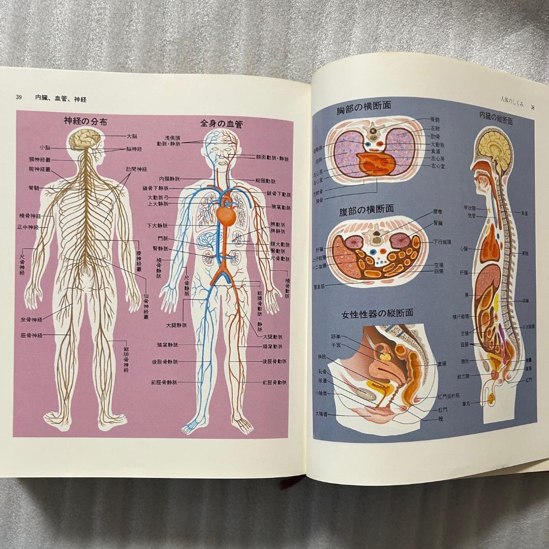 超希少初版❣️最新家庭の医学百科　1142ｐ