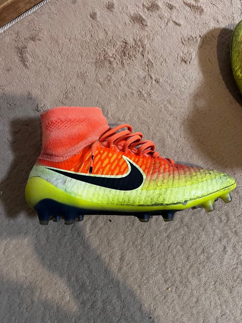 マジスタオブラ