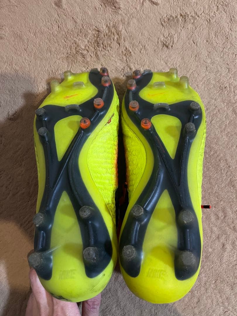 マジスタオブラ