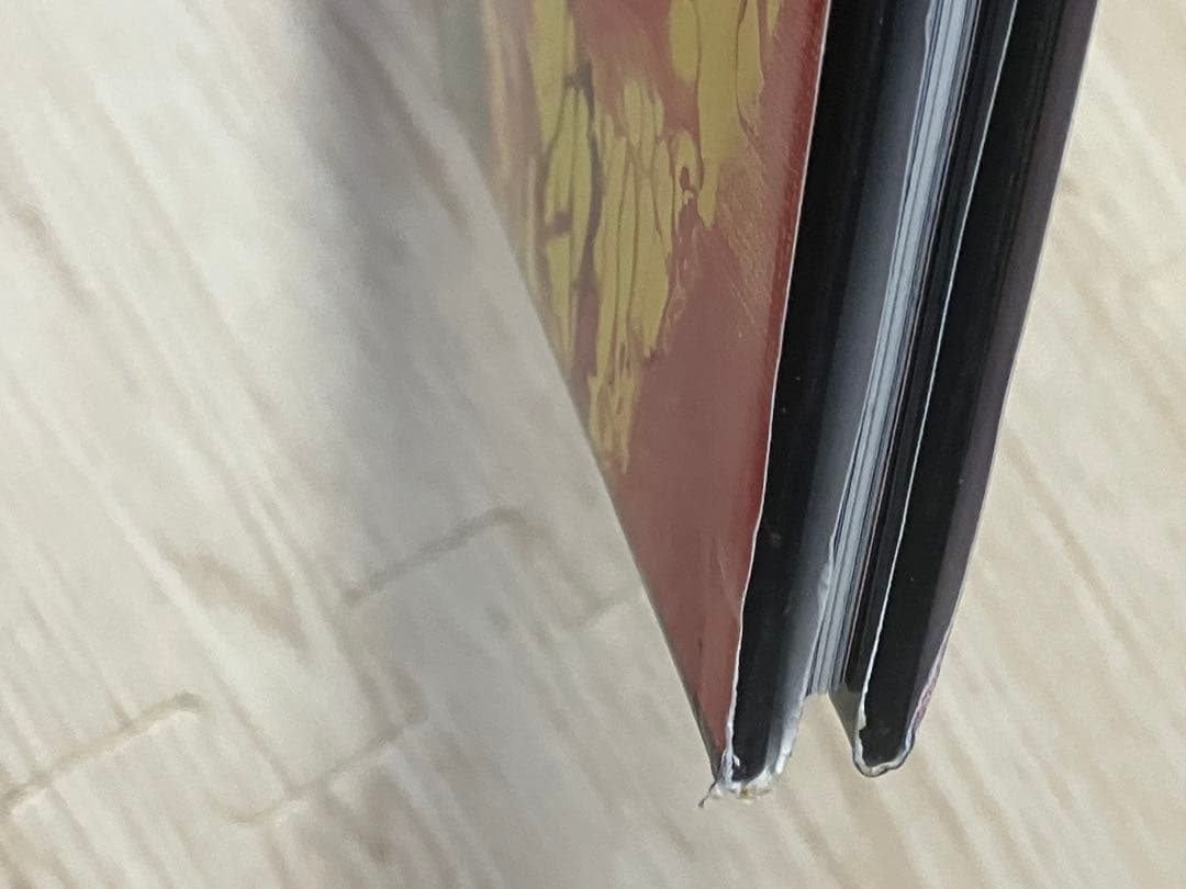 NOISEアレルギー××× 幻覚アレルギー CD無し 帯なし おまけ付き