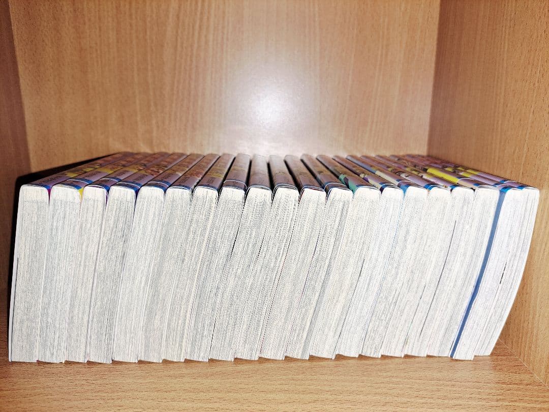 スティール・ボール・ラン ジョジョの奇妙な冒険7部　4~24巻セット(12巻抜)