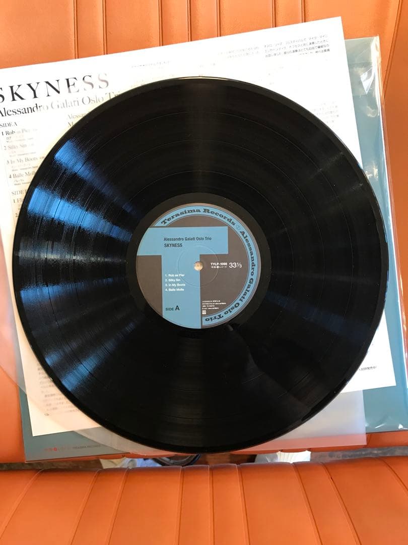 アレッサンドロ・ガラティ　SKYNES 重量盤　レコード　4/4