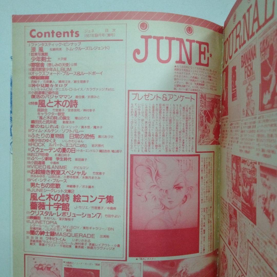ジュネ 風と木の詩 竹宮恵子 36 37 38 1987年 1988 JUNE
