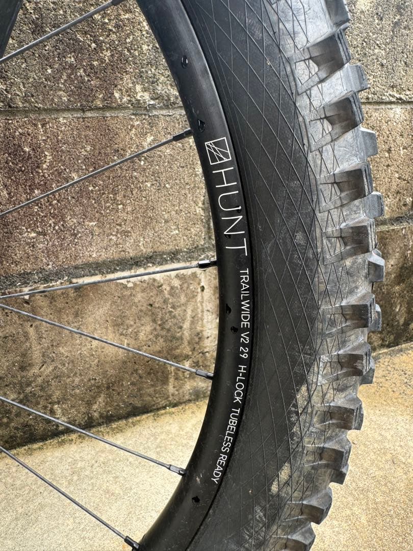 Forbidden bike Dreadnought Mサイズフレーム、リアサス