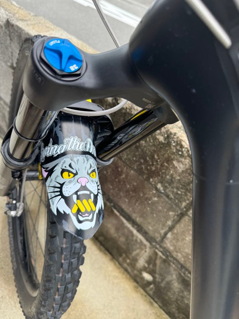 Forbidden bike Dreadnought Mサイズフレーム、リアサス