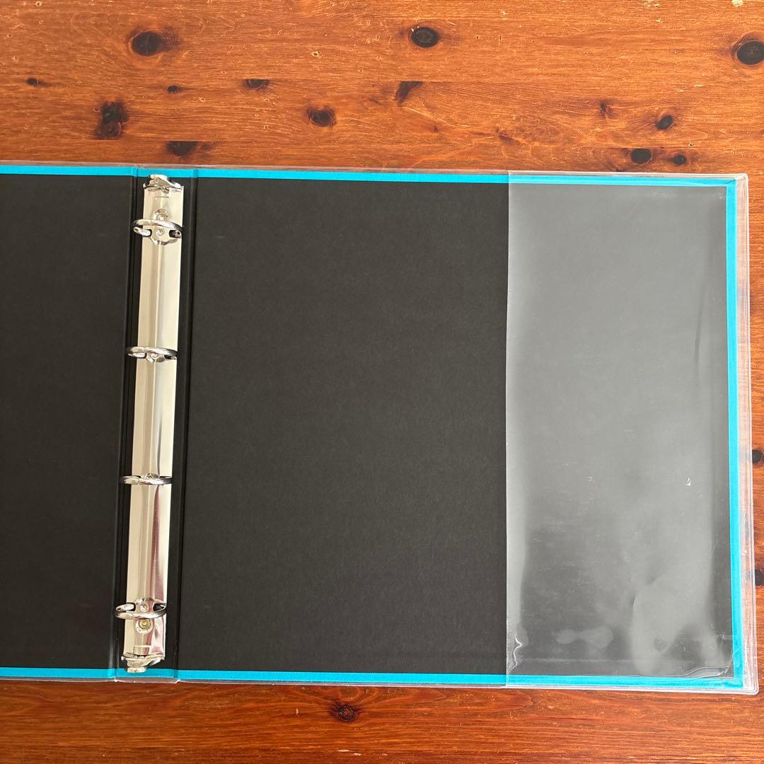 デルフォニックス フォトアルバム　L ライトブルーリフィル10枚付