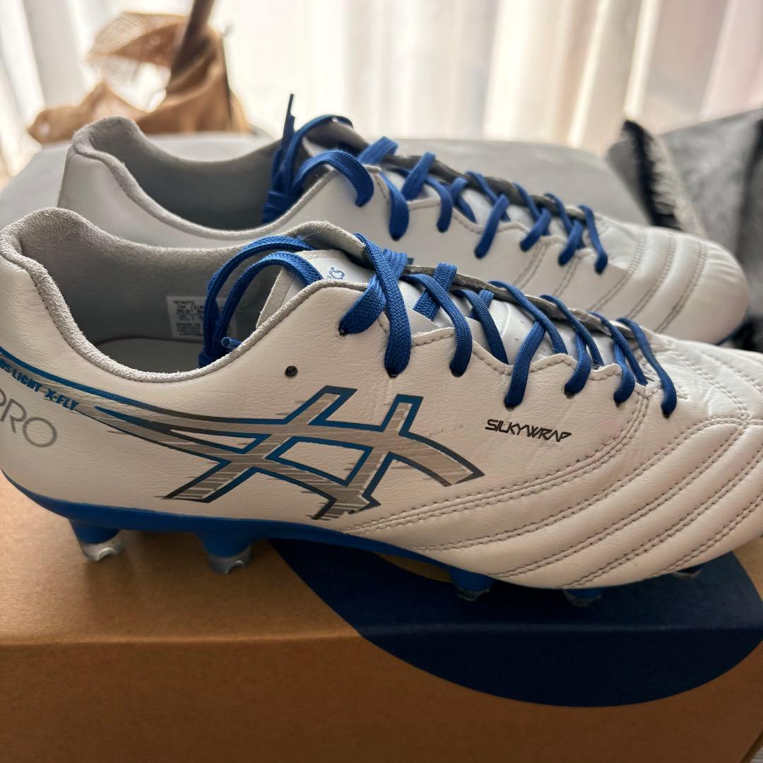 アシックス DS LIGHT X-FLY PRO 3（25.0㎝）