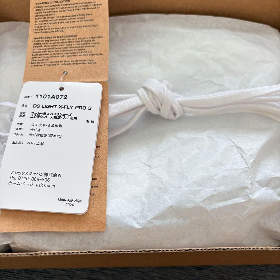 アシックス DS LIGHT X-FLY PRO 3（25.0㎝）