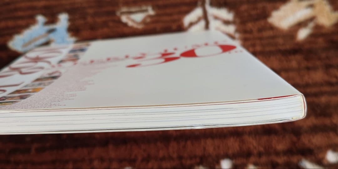 週刊少年ジャンプ創刊30周年記念原画集