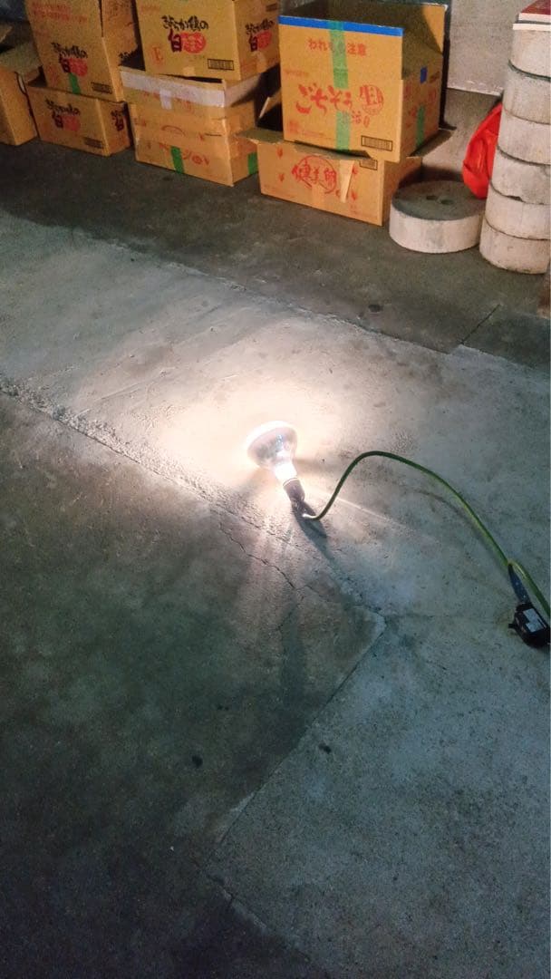 <訳あり>水銀ランプ 4個　BHRF100-100V 160W/T