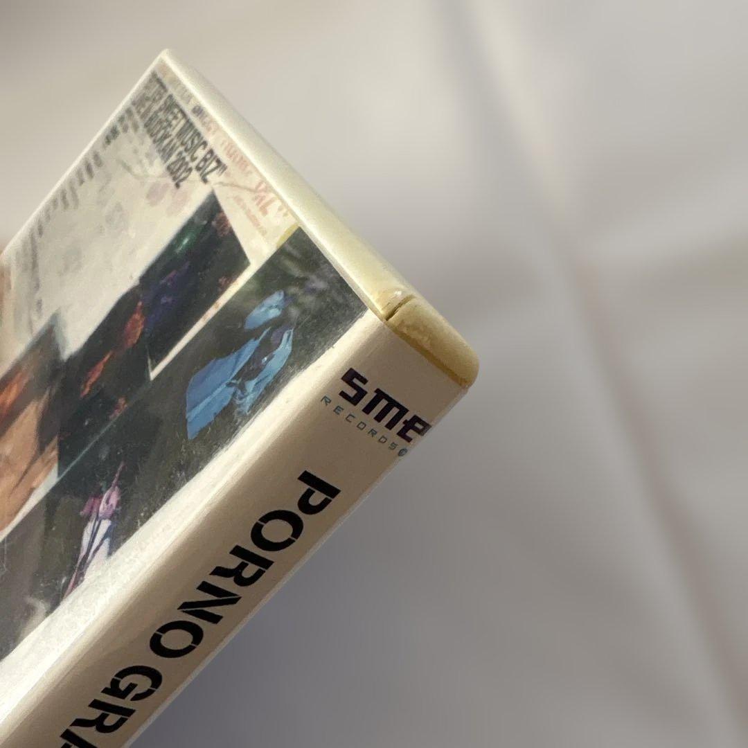 ポルノグラフィティDVDなどまとめ売り17点セットPORNO GRAFFITTI