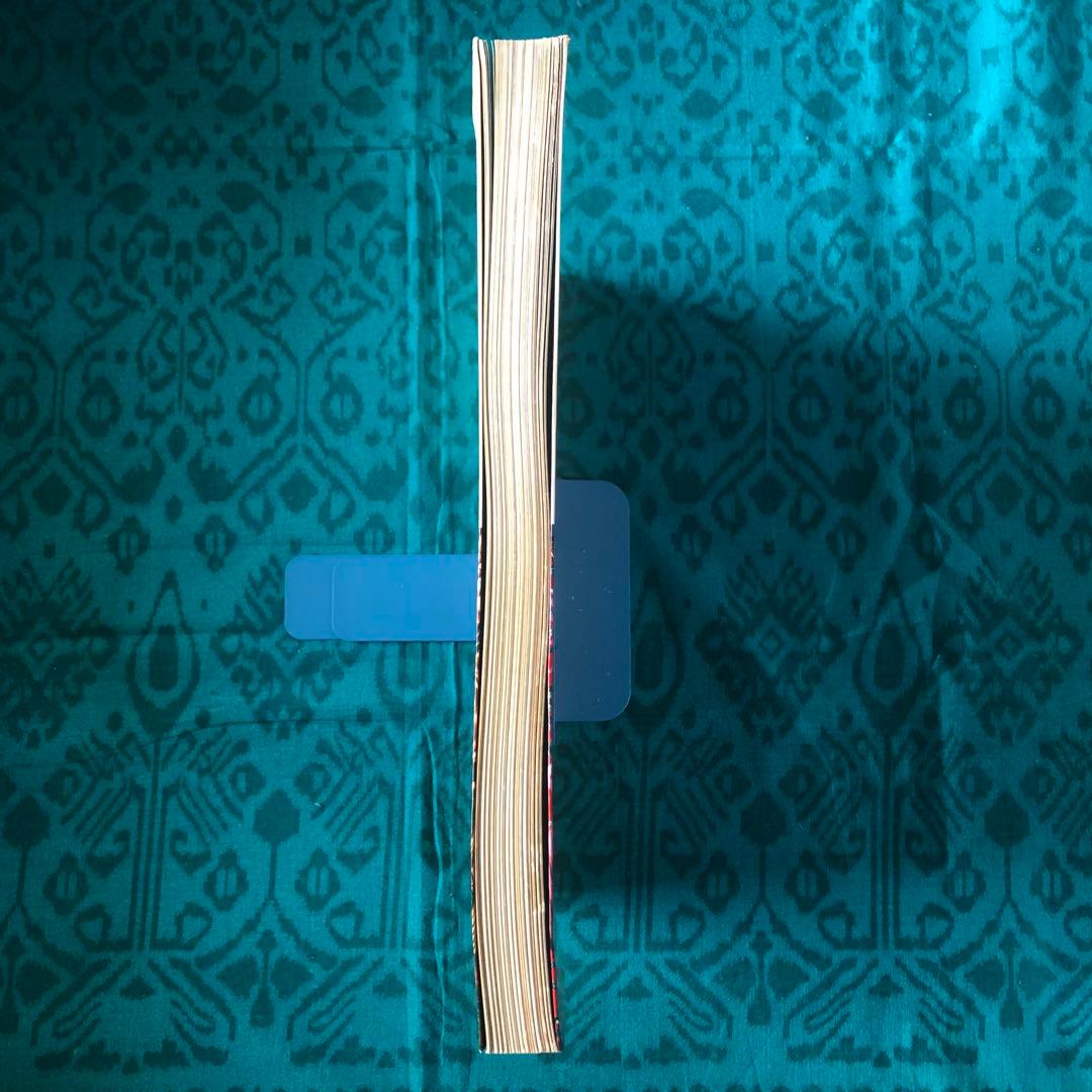 【絶版・希少】全東洋街道　藤原新也　集英社　1981年　初版