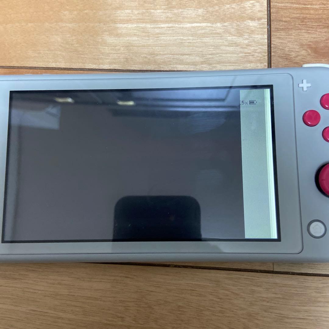 Nintendo Switch Lite グレー　ポケモンジャンク品