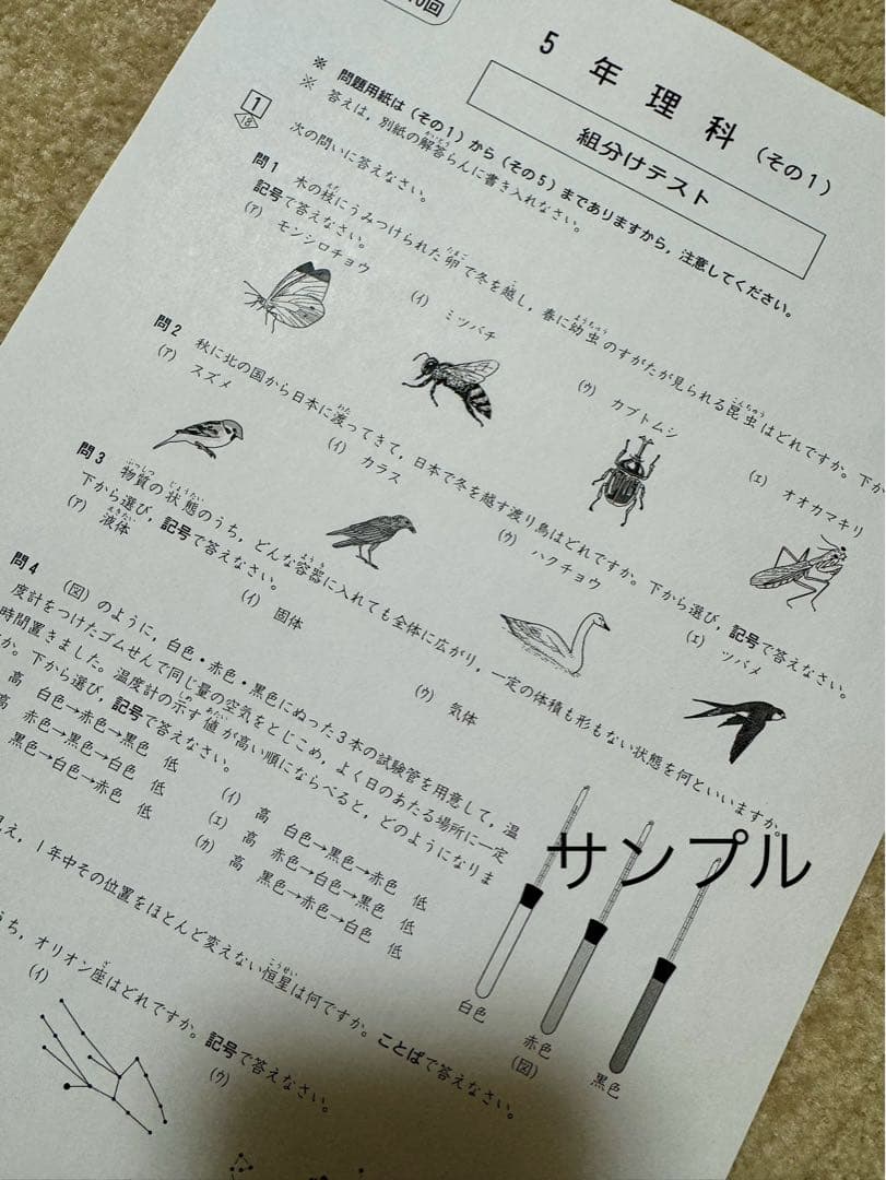 しょう⭐️⭐️四谷大塚　5年生　組分けテスト　3年分　過去問フルセット
