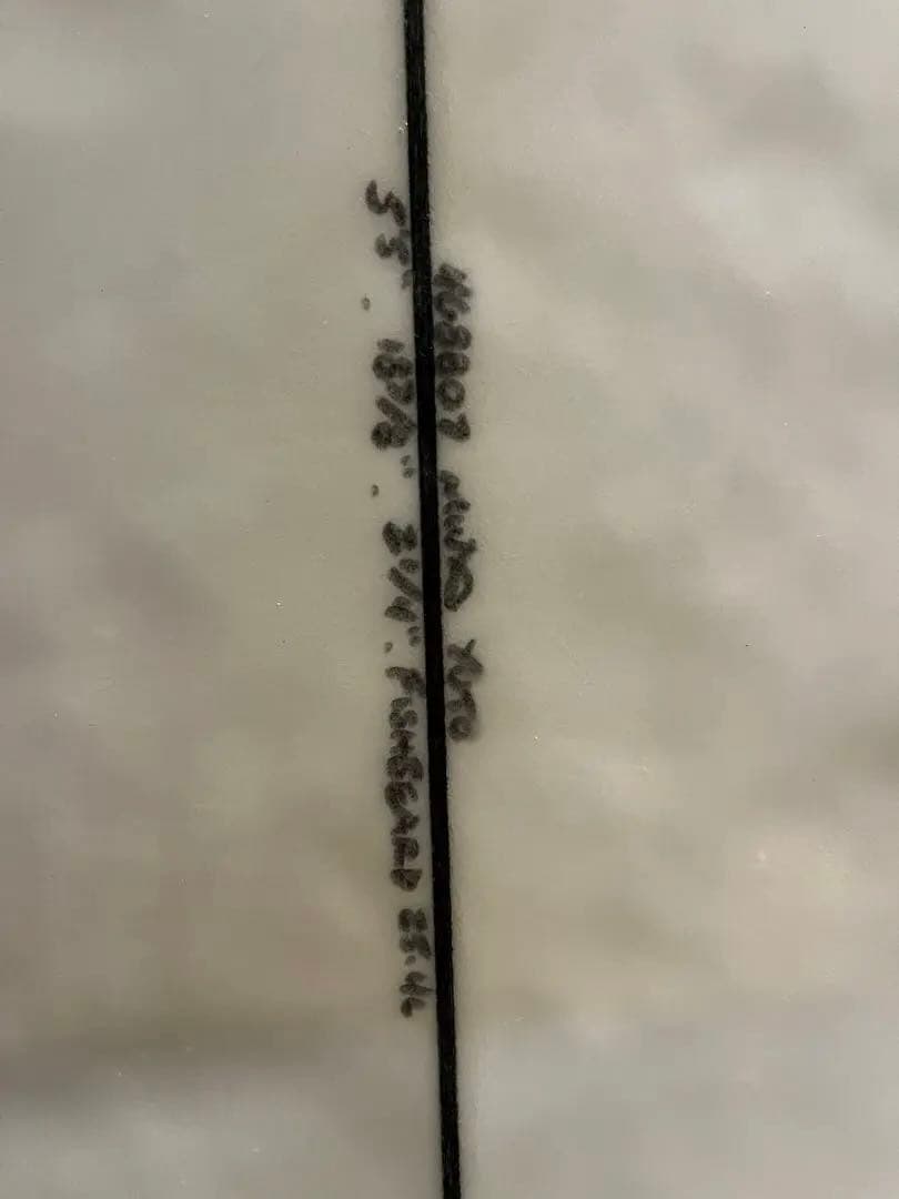 チャンネルアイランド　フィッシュベアード