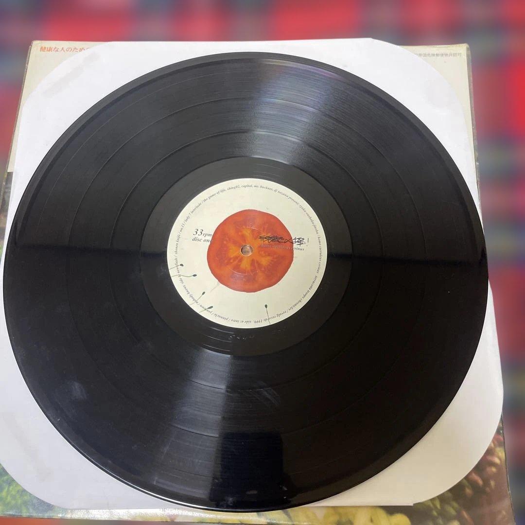 緑黄色人種 SHING02 アナログ盤 2枚組レコード 1999年 オリジナル盤