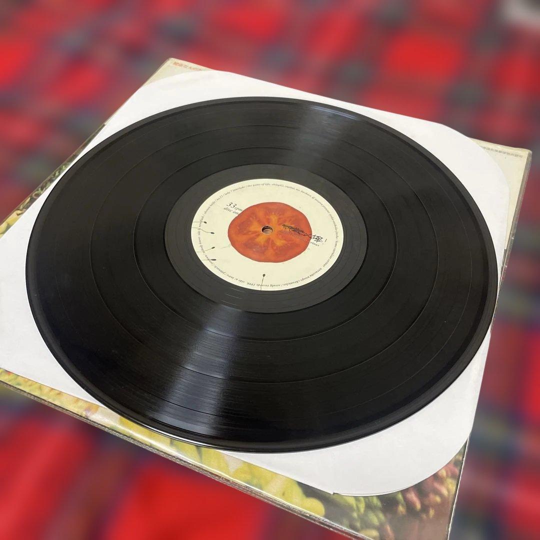 緑黄色人種 SHING02 アナログ盤 2枚組レコード 1999年 オリジナル盤