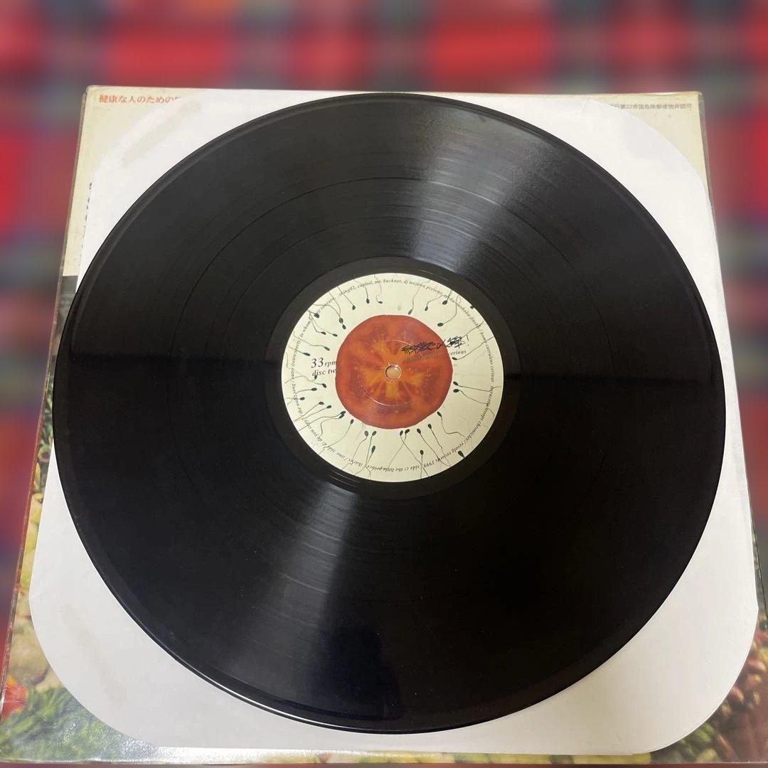 緑黄色人種 SHING02 アナログ盤 2枚組レコード 1999年 オリジナル盤