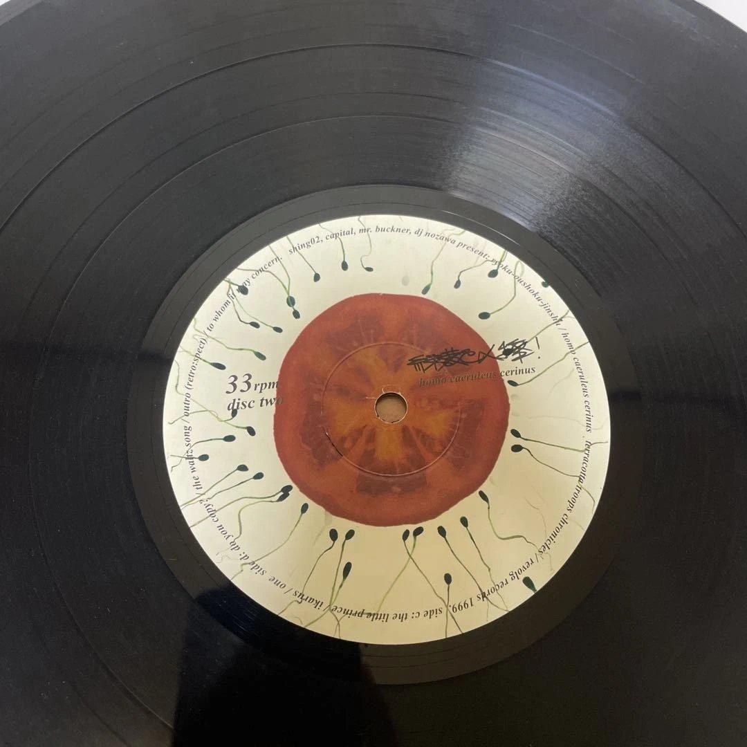 緑黄色人種 SHING02 アナログ盤 2枚組レコード 1999年 オリジナル盤