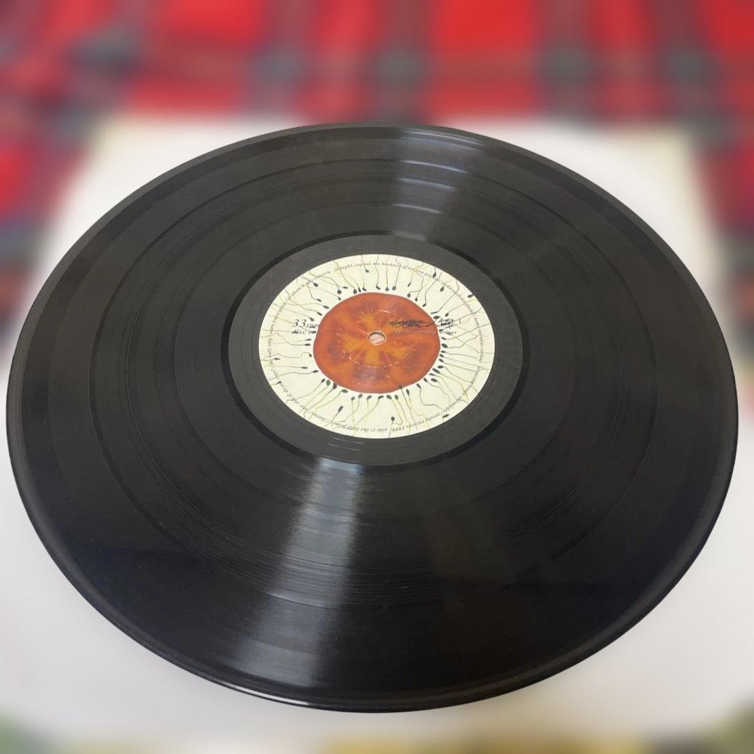 緑黄色人種 SHING02 アナログ盤 2枚組レコード 1999年 オリジナル盤