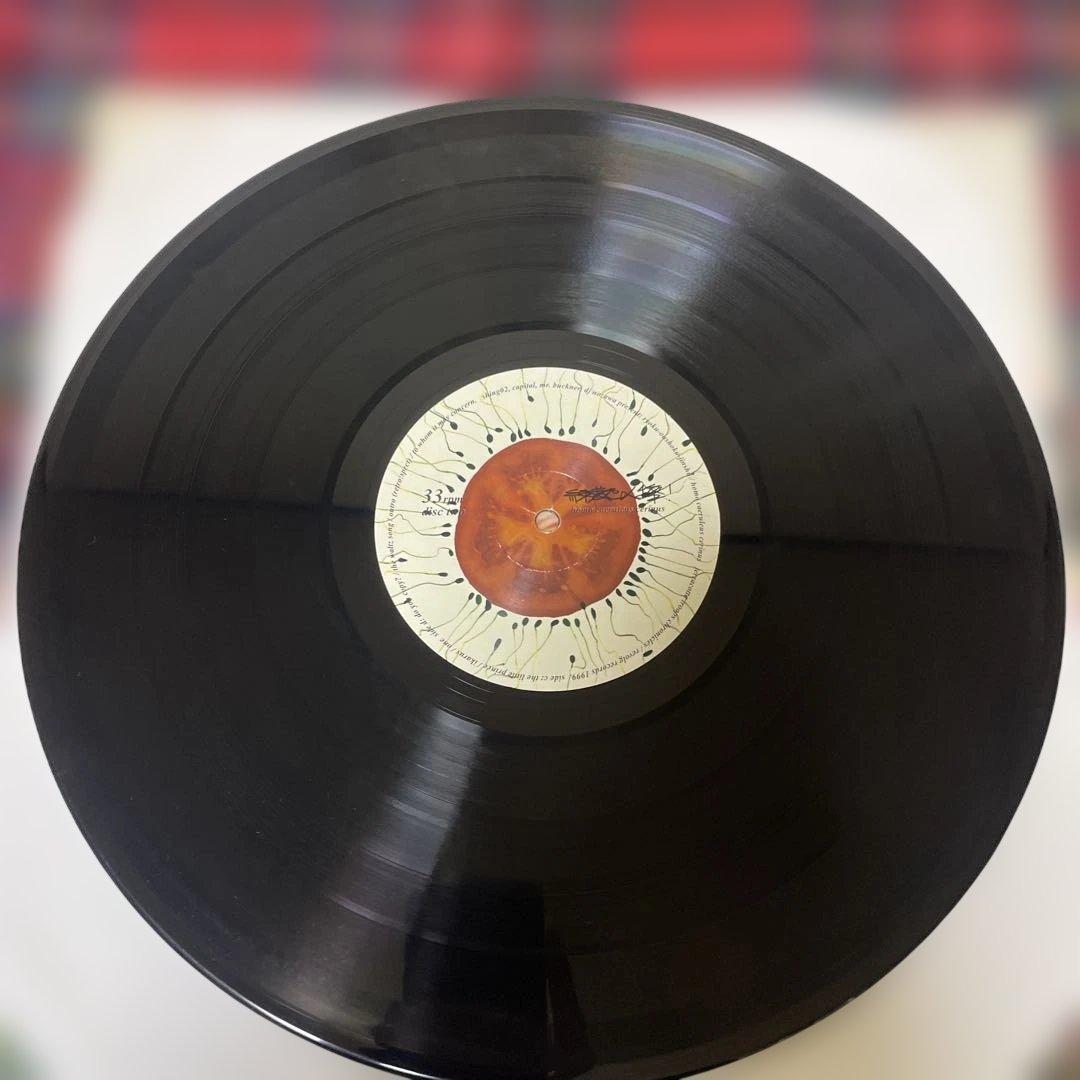 緑黄色人種 SHING02 アナログ盤 2枚組レコード 1999年 オリジナル盤