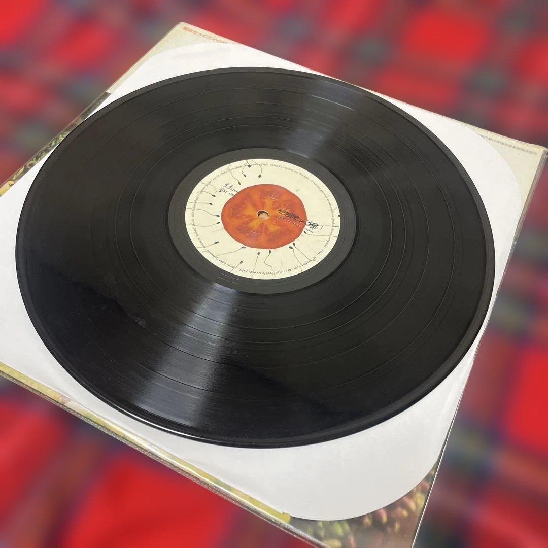 緑黄色人種 SHING02 アナログ盤 2枚組レコード 1999年 オリジナル盤