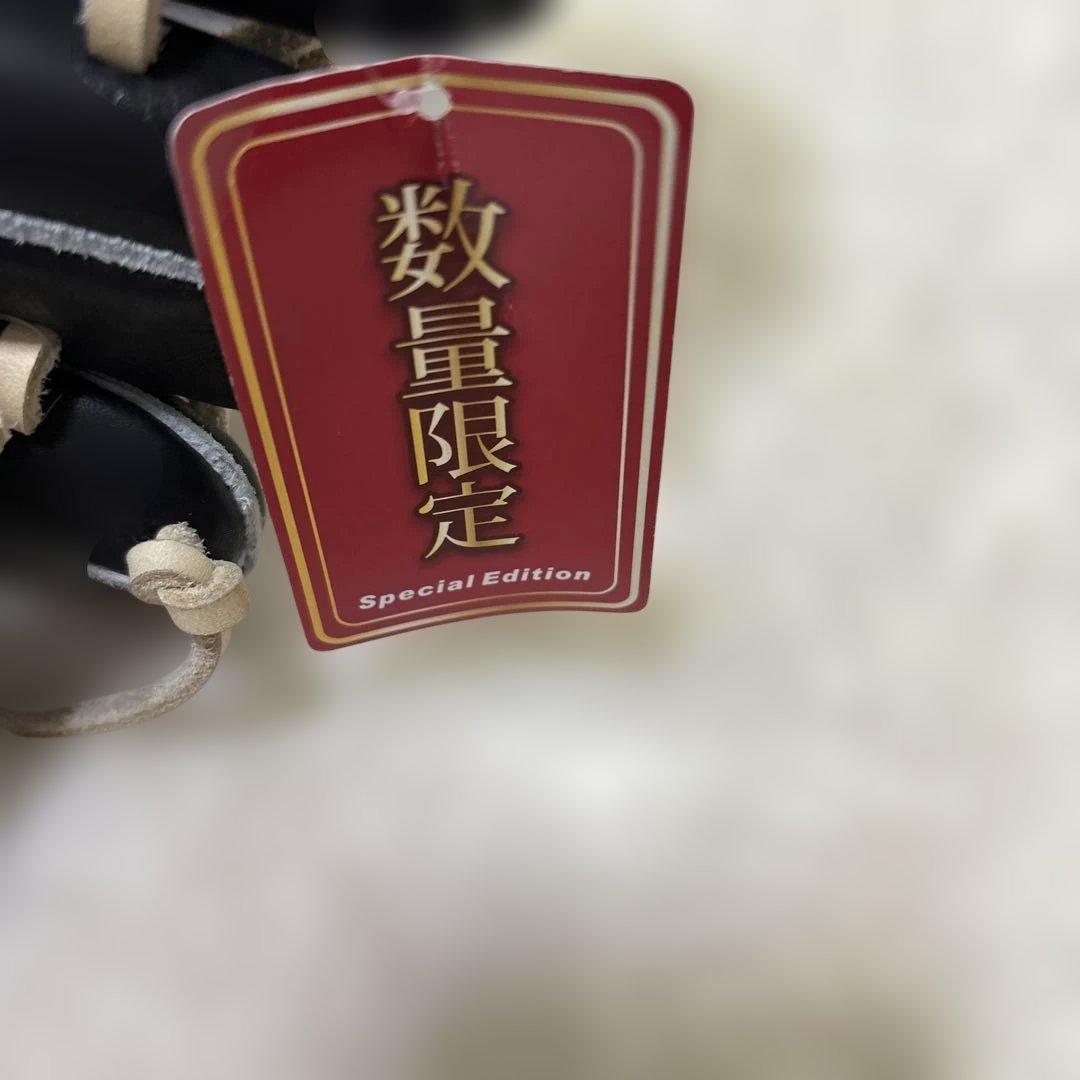 ワールドペガサス　硬式　左外野手用　数量限定品　新品未使用袋付き