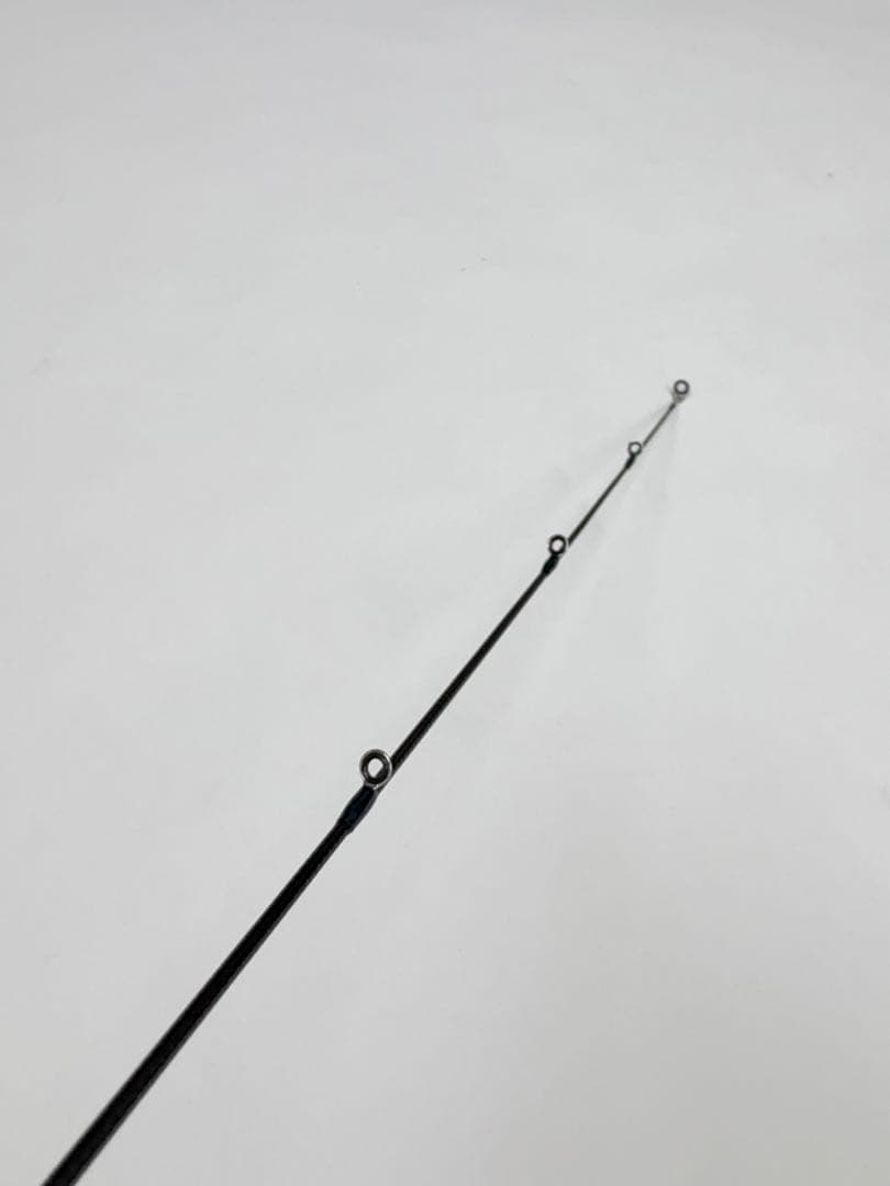 SALTY ADVANCE アジング他　2本