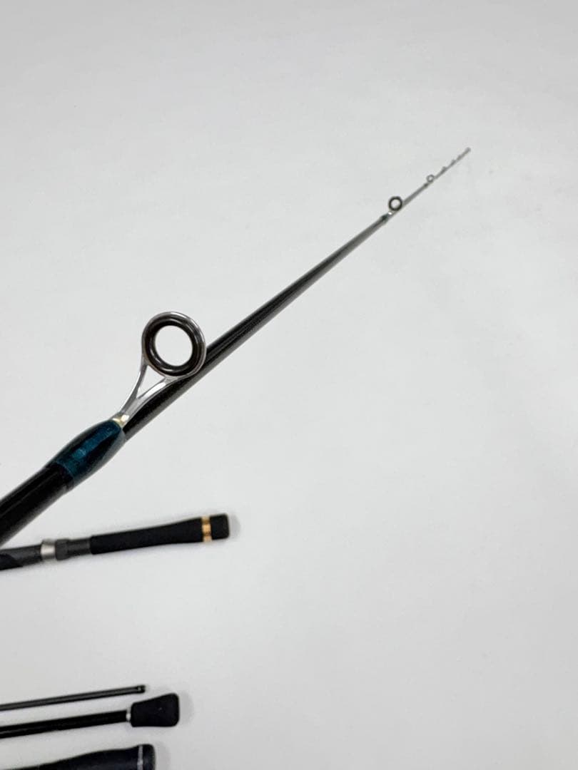 SALTY ADVANCE アジング他　2本