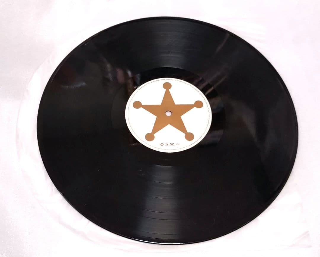 LPレコード RIP SLYME TIME TO GO