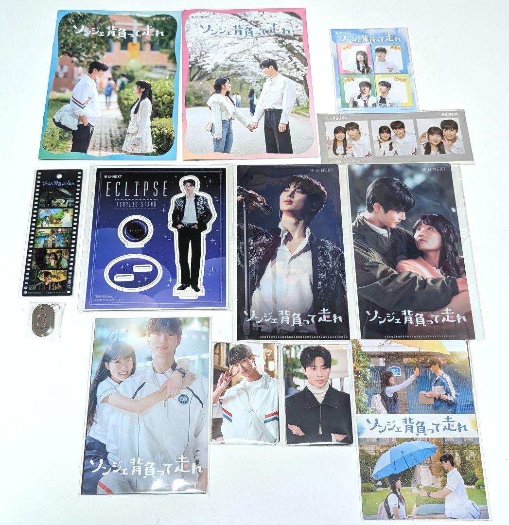 ソンジェ背負って走れ 公式 DVDBOX 1、2 初回限定特典付