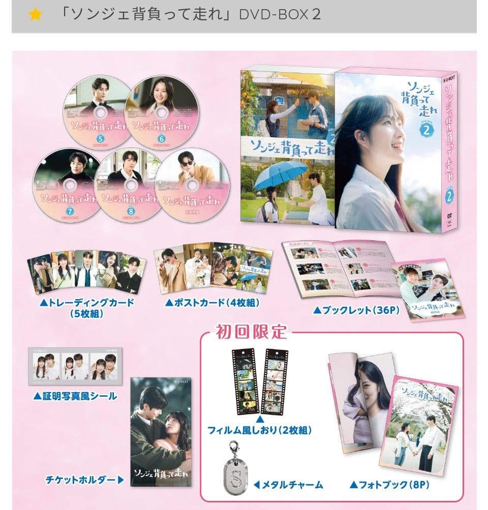 ソンジェ背負って走れ 公式 DVDBOX 1、2 初回限定特典付