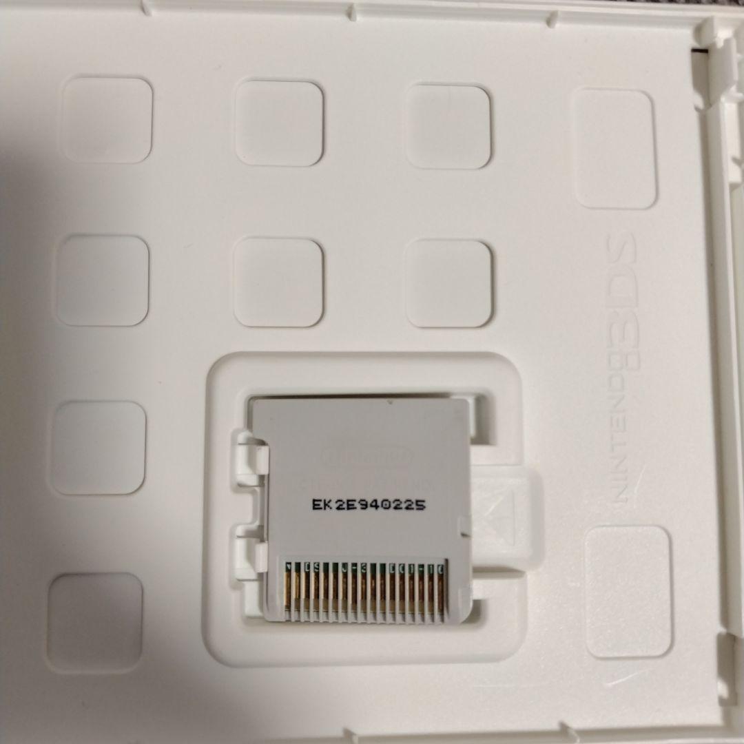 北米版 ポケットモンスターY POKEMON Y ポケモン 海外版