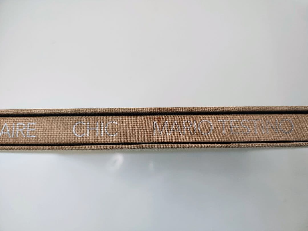 アート・デザイン・音楽 VISIONAIRE 22 CHIC MARIO TESTINO