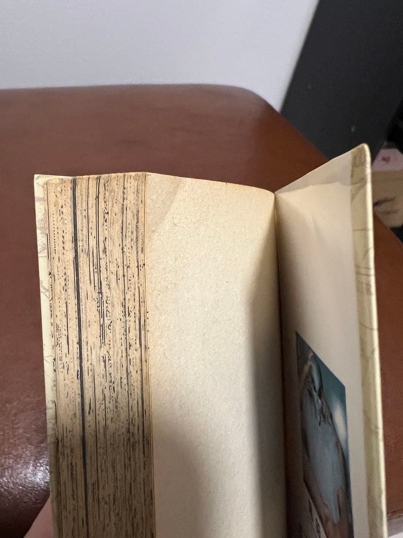 ONE PIECE ROMANCE DAWN 第1巻　初版