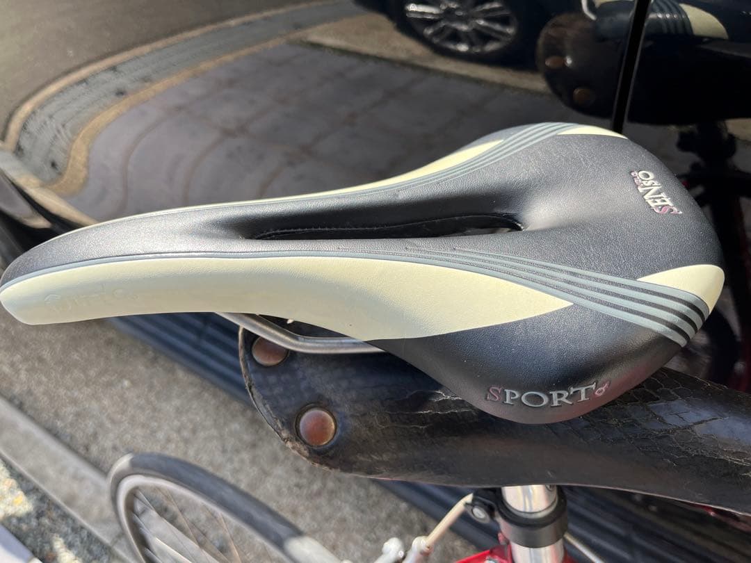 PINARELLO catena lusso ビンテージバイク