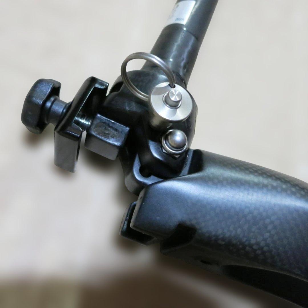 ☆Tyrell タイレル FSX 20インチ フルカーボン フロントフォーク☆